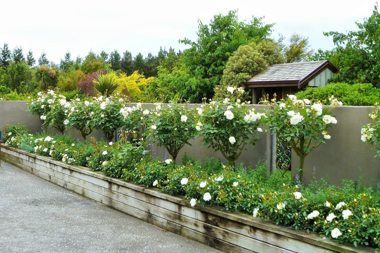 Belle Maison French Country Stay New Plymouth Eksteriør billede